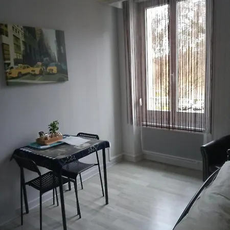 Studio Du Parc Thermal Apartamento *